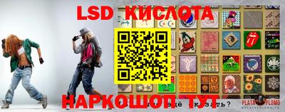гидра Моздок