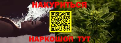 стафф Можга