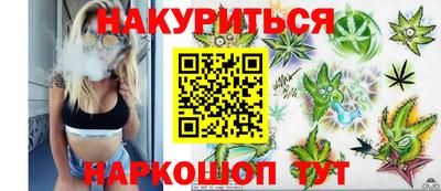 стафф Можга